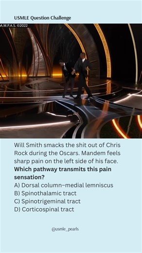 USMLE High-Yield Questions on Instagram: "“KEEP MY NAME—” Facial nociceptors said “message delivered” 😭👋 ⸻ ✅ Answer: C) Spinotrigeminal tract Explanation: Pain and temperature from the face travel via CN V (trigeminal nerve) → descend in the spinal trigeminal tract → synapse in the spinal trigeminal nucleus → cross and ascend to the thalamus. Board rule: Face pain ≠ spinothalamic; face pain = spinotrigeminal. ⸻ ❌ Why the others are wrong A) Dorsal column–medial lemniscus • Fine t