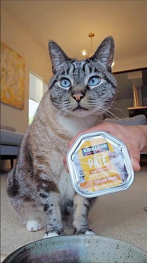 Costco Chicken paté for cats (taste test) new improved recipe