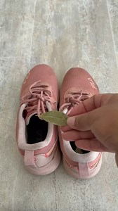 Mettez de la feuille de laurier sur la chaussure et vous serez étonné parce que | Lujo de Recettes