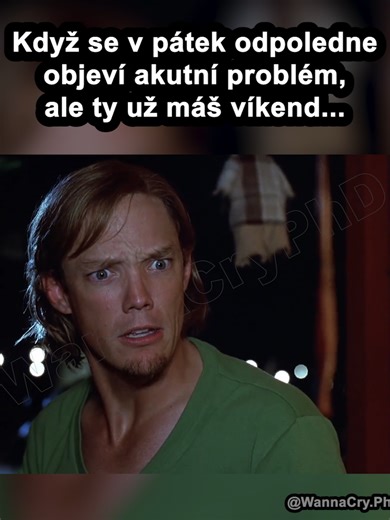 Scooby-Doo (2002) #scoobydoo #práce #záchrana #víkend #útěk #problém #kolega #odpočinek #memes #cz #fyfcz #fyfczech #foryoufeedcz #foryoufeedczech #humor #sranda #vtip #memeczech #memecz #memeczsk #shortscz #reelscz #fypczech #foryouczech #foryoupagecz