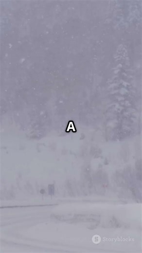 Freezing Fog Alert North Carolina's Winter Weather Update!