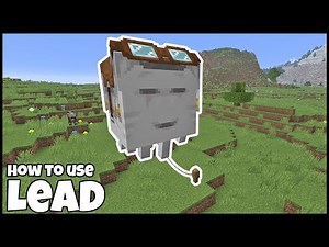 How To Use The LEAD In MINECRAFT 1.21.6