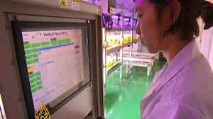 South Korea moving towards vertical farming