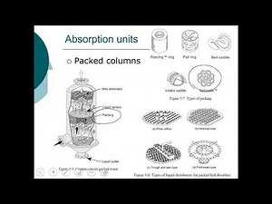 ENE 489 Spring 2021: Absorption of gaseous pollutants
