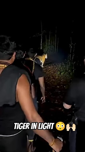 Shanker fitness trainer (@shankerfitnesstrainer2)’s videos with original sound - Shanker fitness trainer