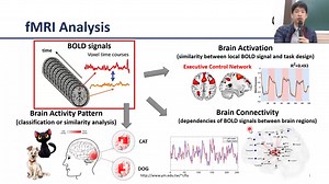 【官方授权】【fMRI Analysis】4-[Lesson3-session1]Experimental Design of fMRI-1|功能核磁共振分析