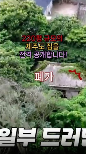 "10년을 방치했다고?" 김숙 220평 제주도 폐가 상태 보고 기겁한 송은이#김숙#송은이#이천희#빽가#예측불가#제주도집#인테리어#셀프인테리어#제주살이#집꾸미기#쇼츠 #Shorts