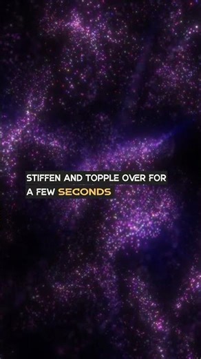 The Goat That Faints When Scared 🐐😱 Funniest Animal Trait Ever! Fainting goats collapse