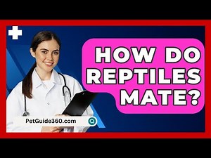 How Do Reptiles Mate? - PetGuide360.com