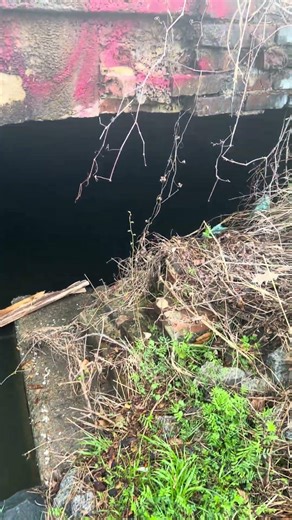 Found a cool fishing spot.!! Yall think any fish in there ??? #fishing #creekfishin