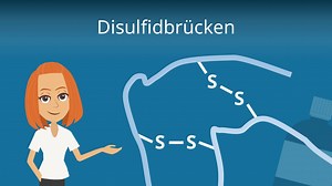 Disulfidbrücken • Chemische Bindung in Proteinen