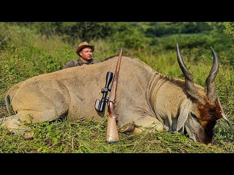 Epic Large Eland Hunt at the Pristine Kwaggashoek Game Ranch, Eland Brisket & Truffles!!