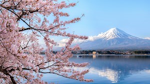 Wowcher Mystery Holiday Japan: How to book holiday to Japan for only £99 now
