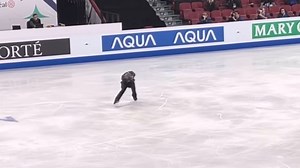 Ice Theatre of New York, Inc. on Reels