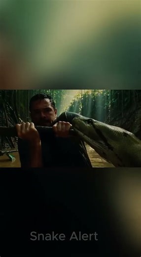 Python Programming in Real-World Systems#pythondeveloper #techcareer