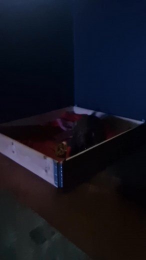 25K views · 892 reactions | Vikings Vikings on Reels | Facebook