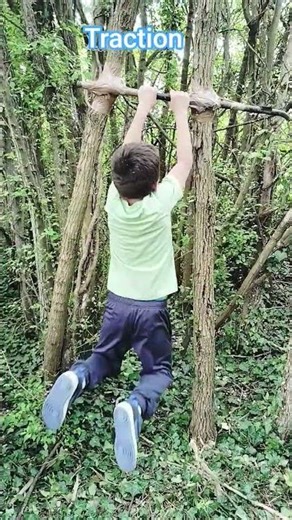 traction #tibo_inshape #wish #forêt #flop#cabane#drôles