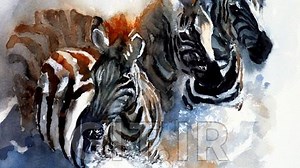 Watercolor Painting – The Direct Approach