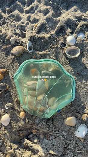 the perfect shell collecting bags🐚🌺shoutout @Caroline🐚 for sharing these, had to go grab one🤭 @target #seashell #shells #target #targetfinds #beachgirl