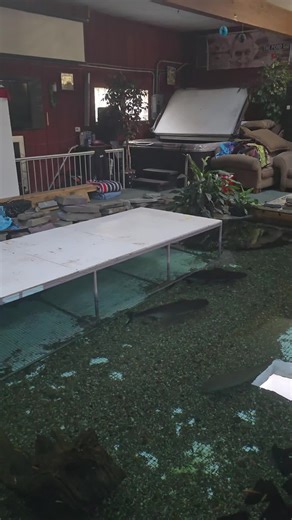 Ohio Fish Rescue on TikTok