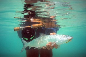 All About the Belize Fly Fishing Grand Slam