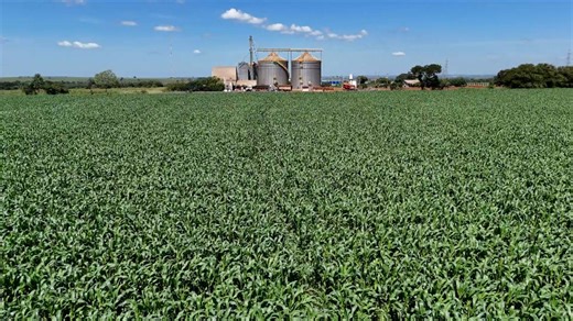 Brazil’s farming infrastructure struggles to keep up with record grain harvest