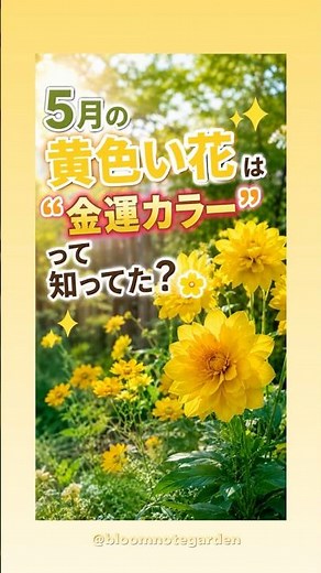 Did You Know Yellow Flowers in May Bring Good Fortune?🌼 4 Popular Picks for Beginners!✨ #Shorts #...