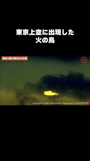 これはUFOなのか？ 都内上空に現れた巨大な火の鳥 #uap #ufo #sid1
