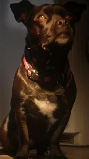 How do you know she's a girl...?