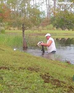 En las cámaras de seguridad de un parque en Florida, se registró el acto heroico de un hombre que se arrojó a un estanque para salvar a su perrito que iba a ser devorado por un caimán. Tras unos angustiosos segundos el hombre logra sacar al cachorro de las fauces del reptil y ahora ambos se recuperan de las heridas. La grabación es viral en Internet. 🎥 AP/Florida Wildlife Federation and Fstop Foundation | América Digital