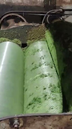 Making of Assam CTC Black Tea in Factory | THE TEA MANUFACTURING PROCESS