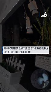 52K views · 312 reactions | A California resident’s quest for clarity...