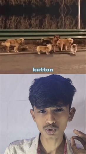 3 Animals… 3 Life Lessons 😳🐧🐒🐕 Internet’s Hidden Pattern! #shorts