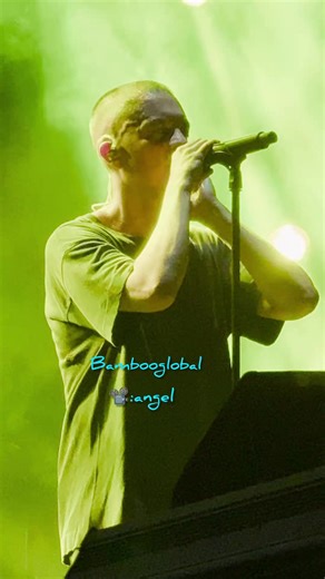 Exploring the Wonders of Bamboo and Its Uses