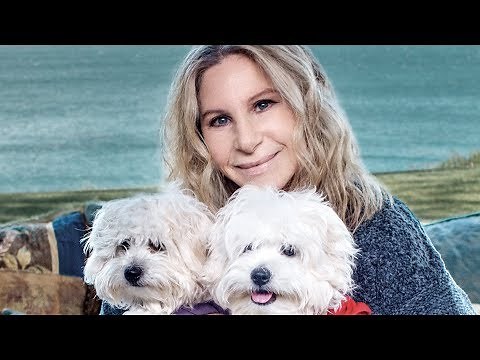 Send In The Clones: Barbra Streisand Reveals Fluffy Canine Copies
