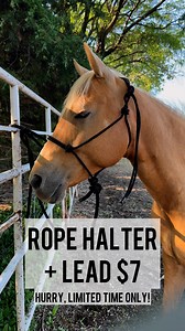 Tack Up for only $7! Get your horse ranch-ready with a Rope Halter + Lead Set — now at Valley Vet. | Valley Vet Supply | Facebook
