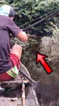 Pescaria de TUCUNARÉ BRUTO Com Arco e Flecha #pescaria #arcoeflecha