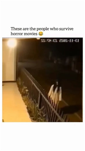 Purelyhistory on Instagram: "purelyhistory s This video is a short, humorous clip captured by a night-vision security camera that plays on the cliché reactions of characters in horror movies. The scene takes place outside a house at night. A person dressed in a white gown with long black hair, resembling a ghost or a character from a popular horror movie like The Ring or The Grudge (often referred to as a Pontianak or Kuntilanak in Southeast Asian folklore), is seen standing motionless outside t