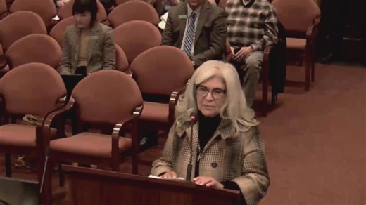 Former Idaho Human Rights Commission chair removed from role by governor