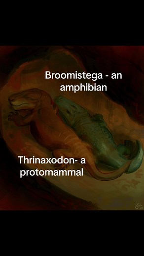 Triassic Cuddle: The Unique Hugging Fossil Discovery