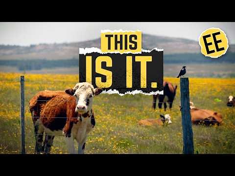 Uruguay Has No Resources, But They're Rich