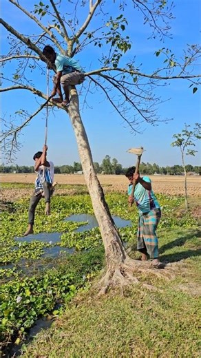 Swinging on a swing hanging from a tree.