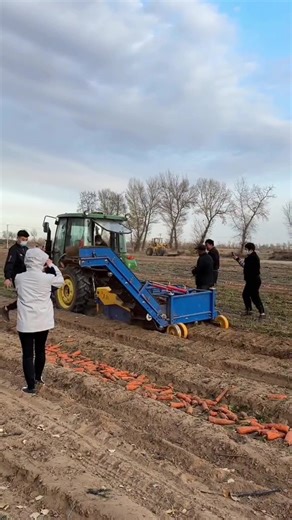 Automatic Carrot Harvester for Efficient Crop Loading