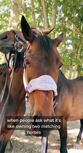 Amy Davidson (@_amydavidson_)’s videos with original sound - EddieHearnOriginals