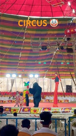 Circus show 🤡#circus #dance #funnyvideo #kidsvideo
