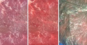 Por qué la carne cambia de color y cuáles son sus causas