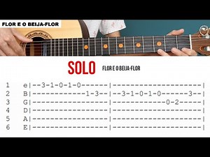 SOLO - Flor e o beija-flor (Henrique Juliano)