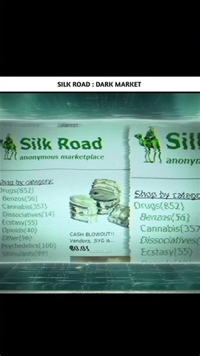 The Amazon of the Dark Web: Silk Road Story #shorts #shortsfeed
