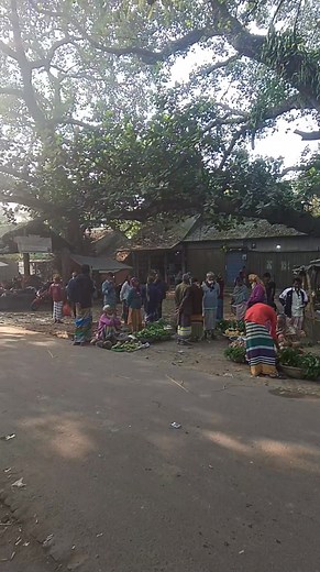 শীতের সবজি ভরপুর বাজার। | GM TV