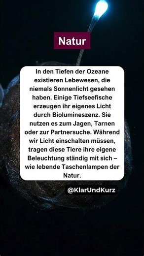 Tiefseetiere tragen ihr eigenes Licht immer bei sich. #natur
